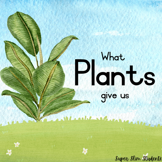 What plants give us