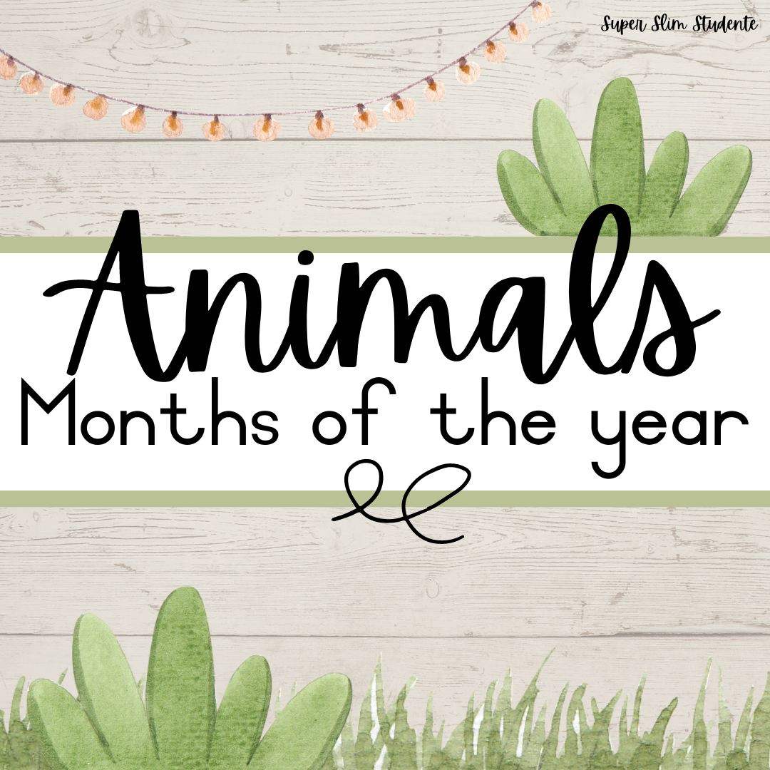 Animals Months Of The Year