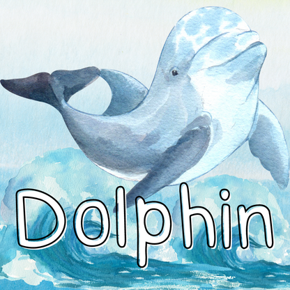 Dolphin Classroom Theme (Foundation Phase)