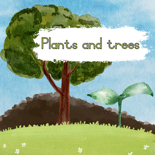 Plants and trees