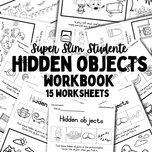 Hidden Objects Workbook