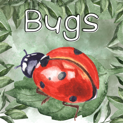 Bugs Classroom Theme (Foundation Phase)