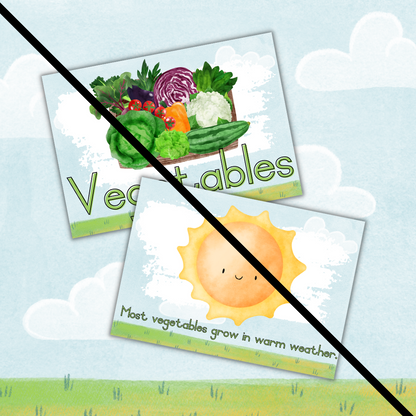 Vegetables Theme Posters