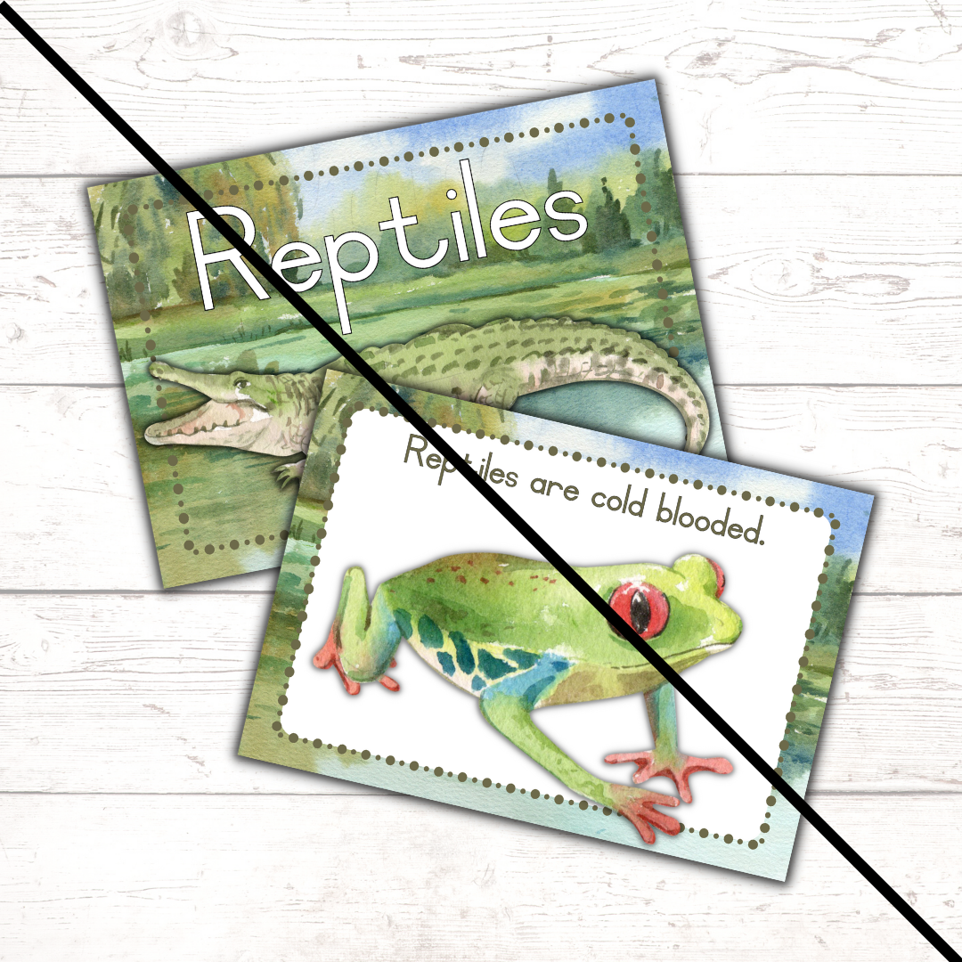 Reptiles Theme Posters