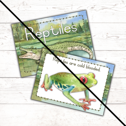 Reptiles Theme Posters