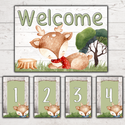 Deer Classroom Theme (Foundation Phase)