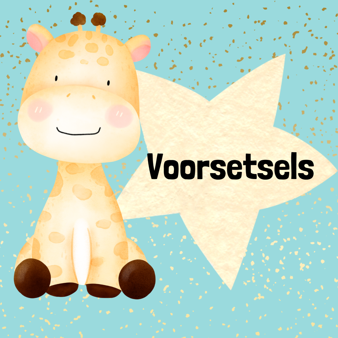 Voorsetsels Flitskaarte