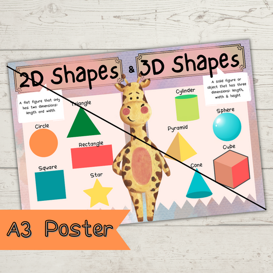 2D & 3D Shapes A3 Poster