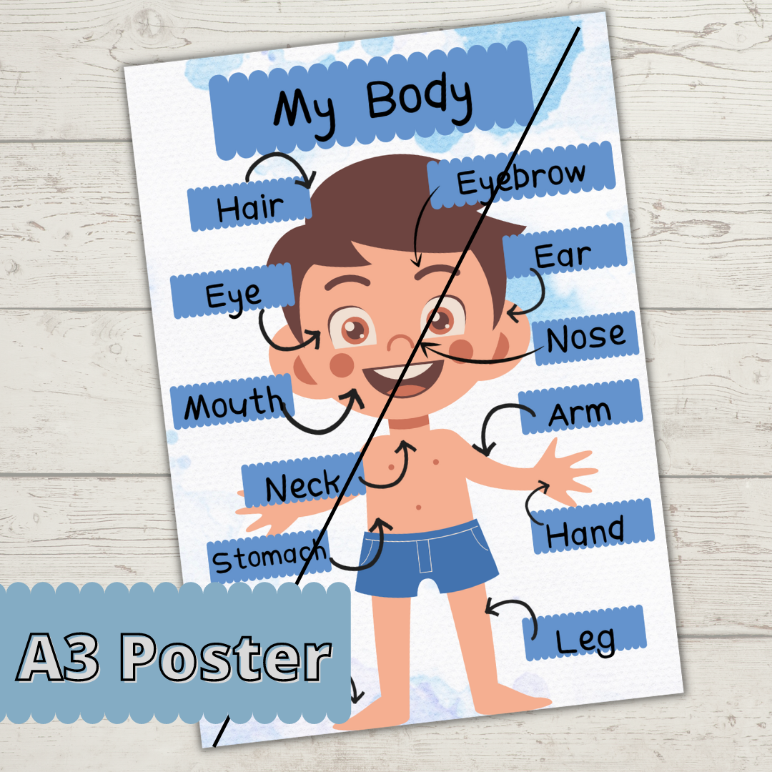 My Body Poster – Super Slim Studente