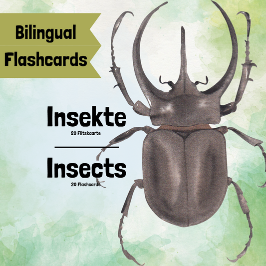 Insects/Insekte Bilingual Flashcards