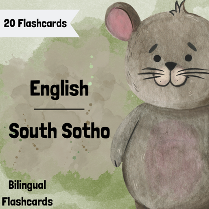 Bilingual Flashcards