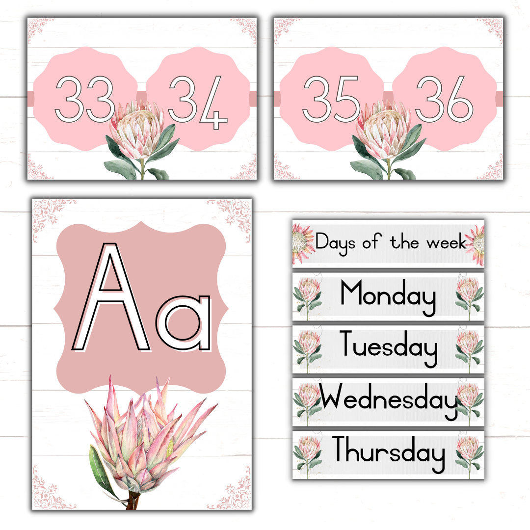 Protea Theme