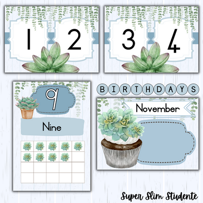 Succulent Classroom Theme (Foundation Phase)