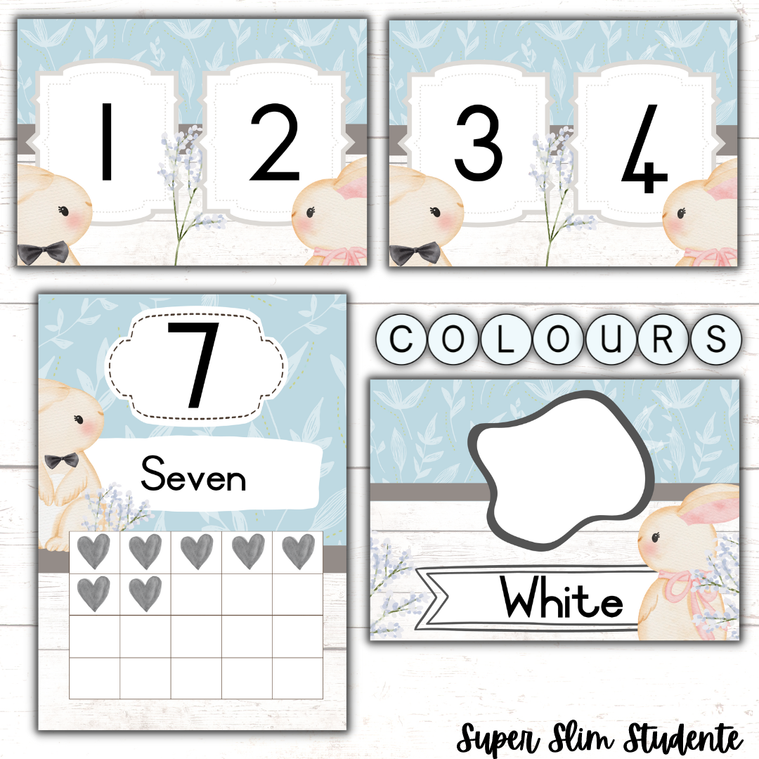 Bunny Classroom Theme (Foundation Phase)