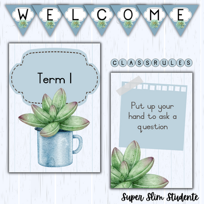 Succulent Classroom Theme (Foundation Phase)