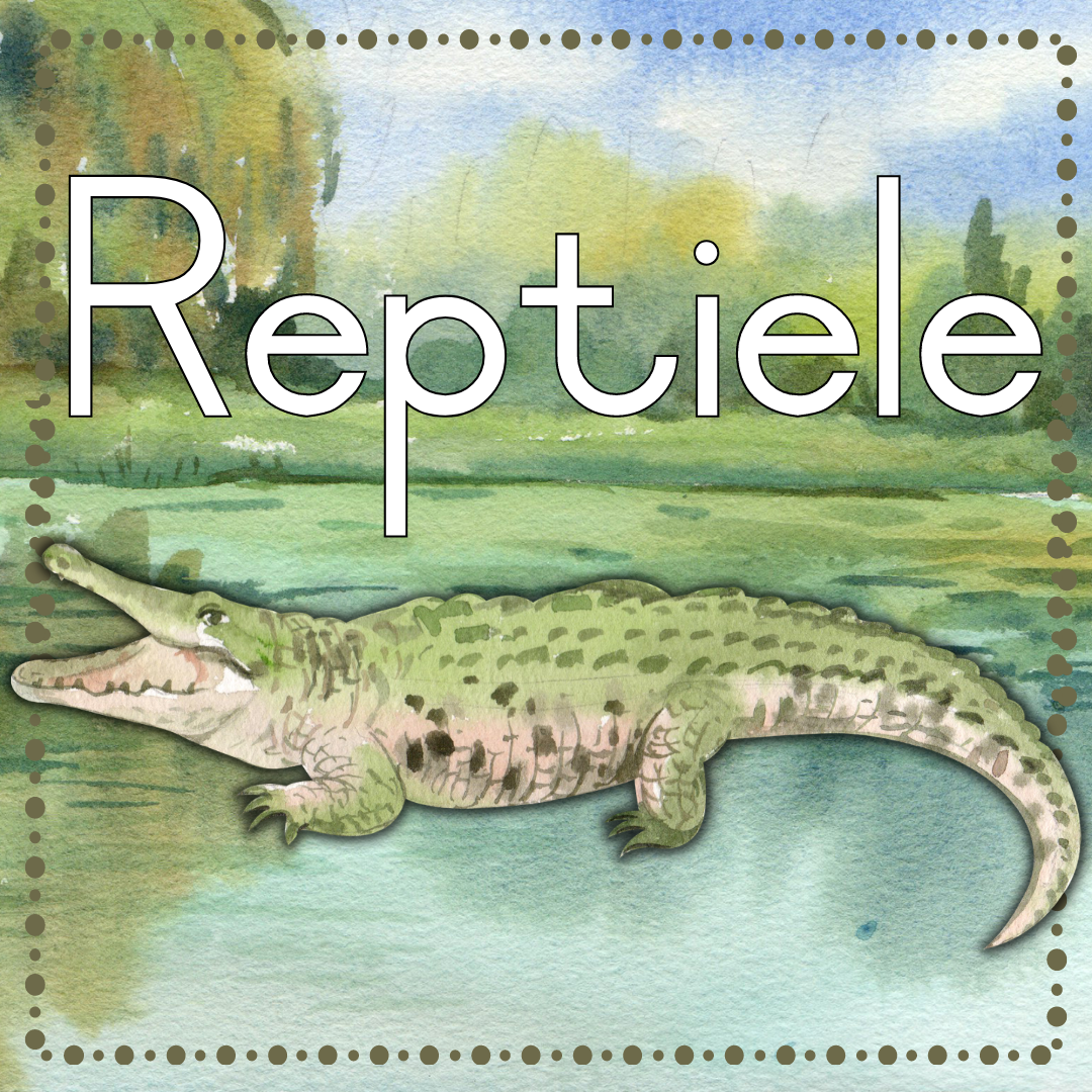 Reptiles Theme Posters