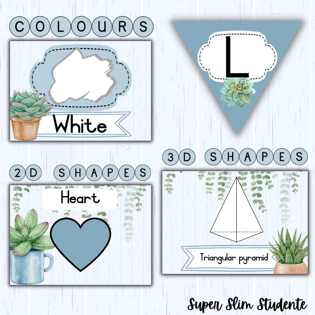 Succulent Classroom Theme (Foundation Phase)