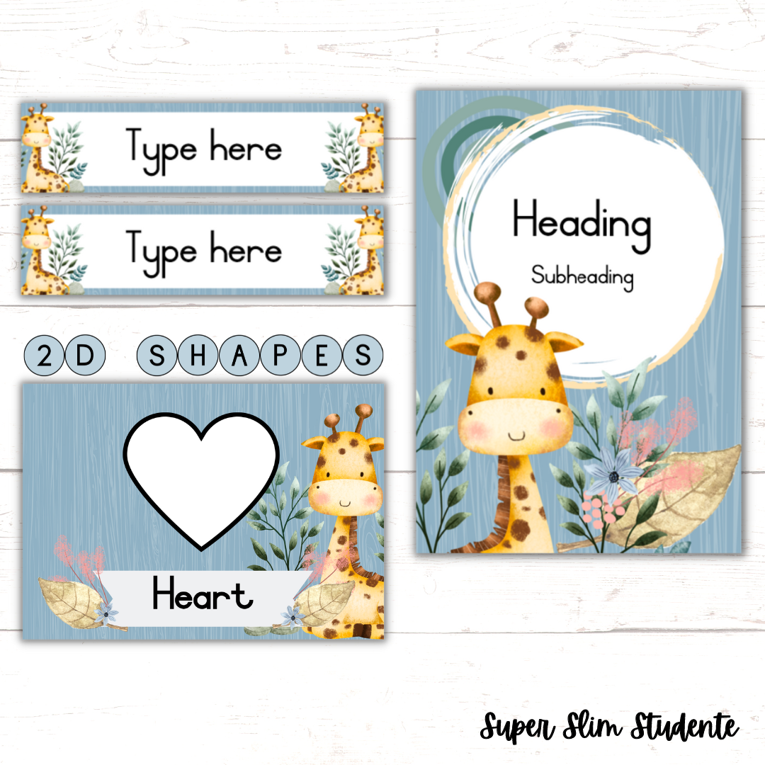 Giraffe Classroom Theme (Foundation Phase)