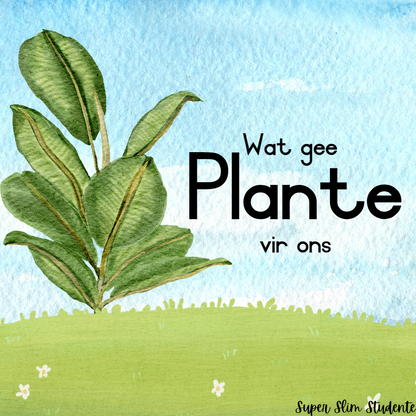 What plants give us