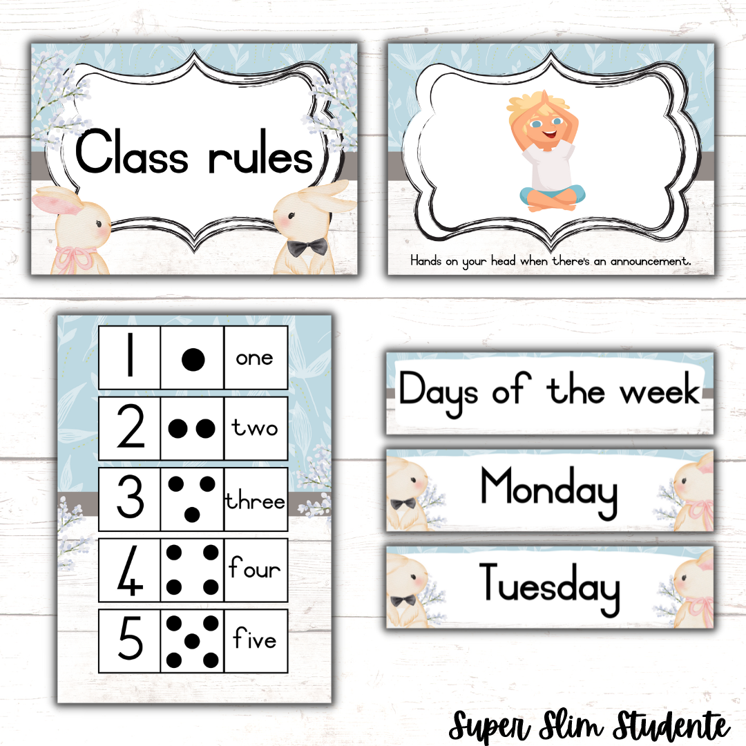 Bunny Classroom Theme (Foundation Phase)