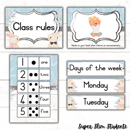 Bunny Classroom Theme (Foundation Phase)