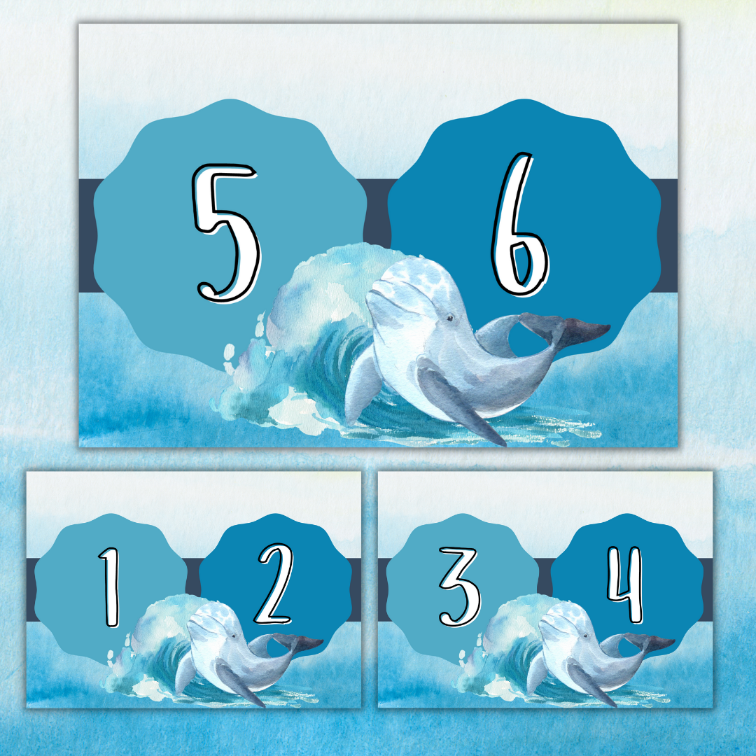 Dolphin Classroom Theme (Foundation Phase)