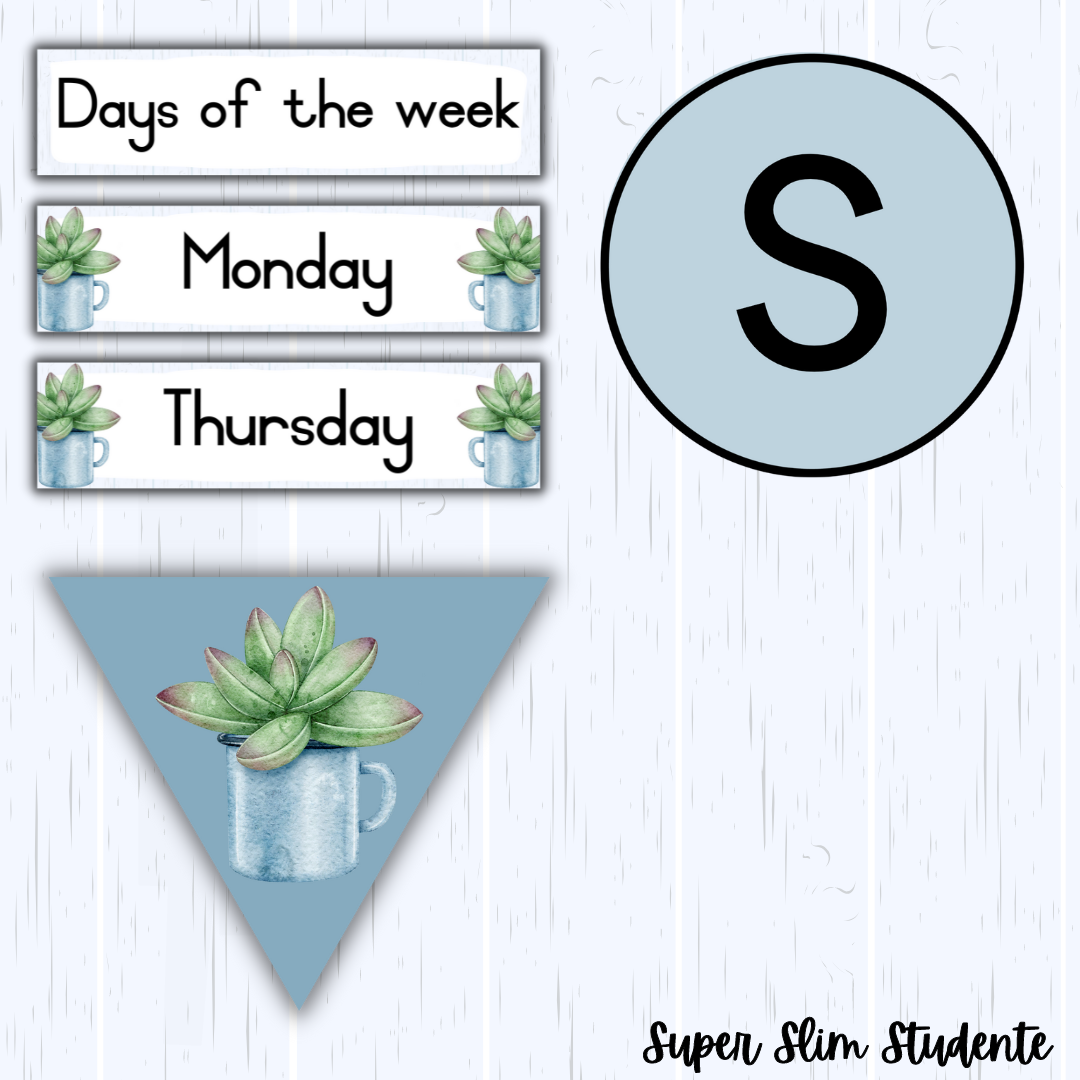 Succulent Classroom Theme (Foundation Phase)