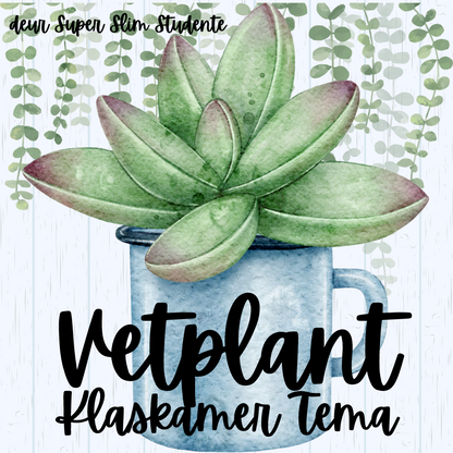 Succulent Classroom Theme (Foundation Phase)