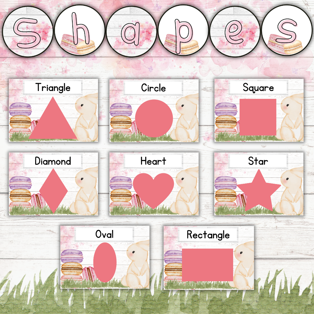 Bunny Macaron Theme (Foundation Phase)