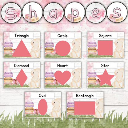 Bunny Macaron Theme (Foundation Phase)