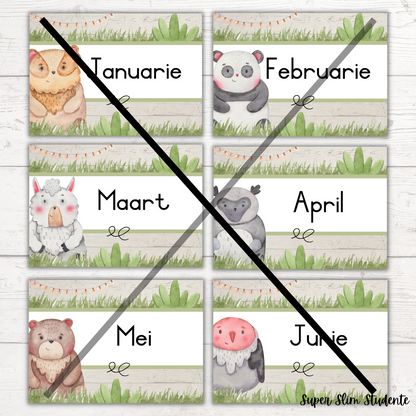 Animals Months Of The Year