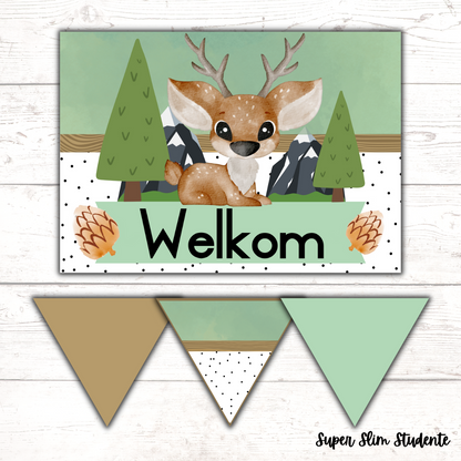 Woodland Classroom Theme