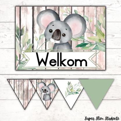 Koala Classroom Theme