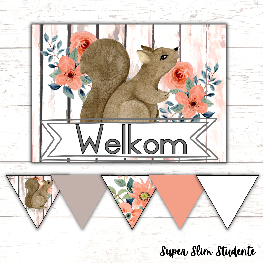 Squirrel Classroom Theme