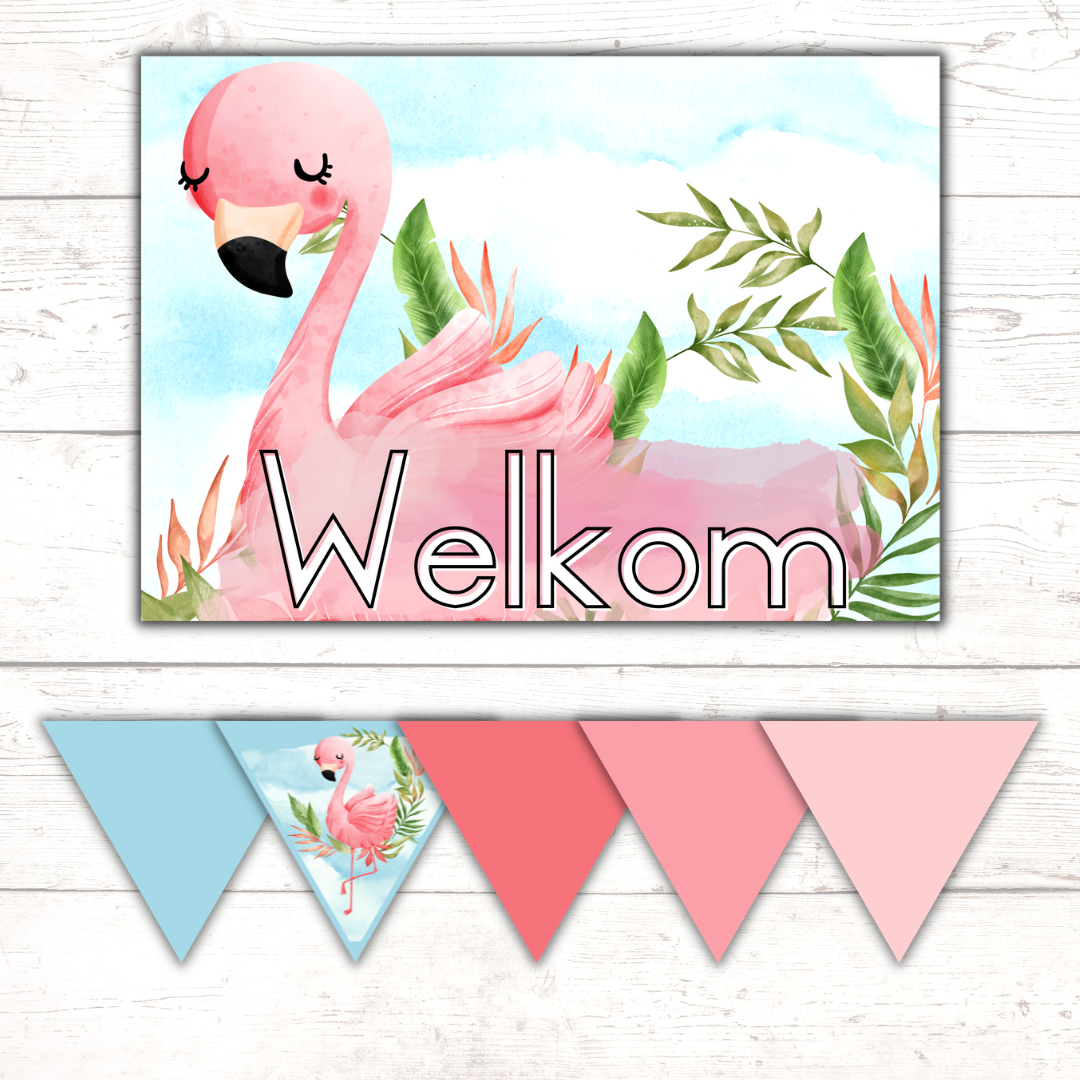 Flamingo Classroom Theme