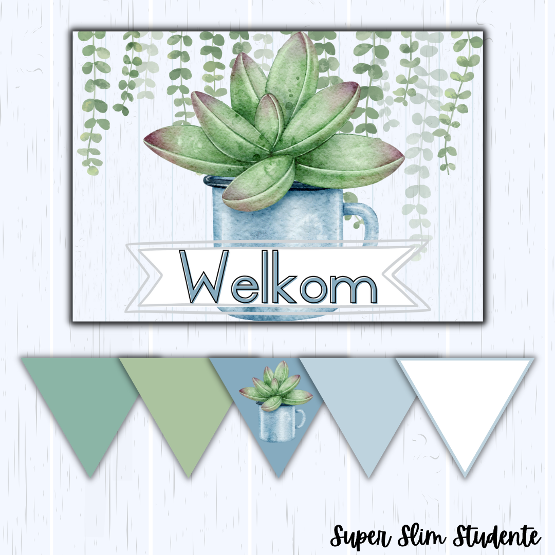 Succulent Classroom Theme (Foundation Phase)