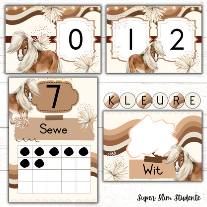 Boho Horse Classroom Theme (Foundation Phase)