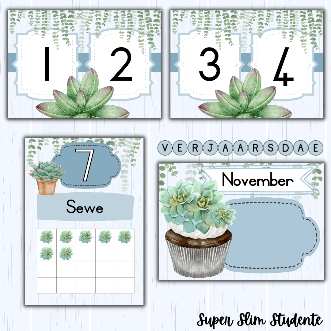 Succulent Classroom Theme (Foundation Phase)