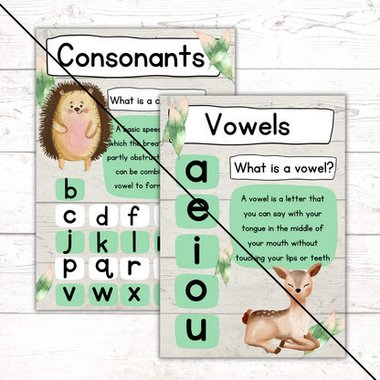 Vowels & Consonants